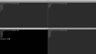Tcp Echo Server - Testing ThreadServer