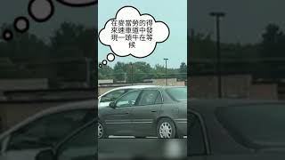 得來速車道中發現一頭牛在排隊 #Shorts