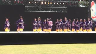 豊川よさこいinおいでん祭2014　彗宙華