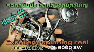 ep 17 .แนะนำเลย !! รอกสปินนิ่ง งานปลาใหญ่ BEARKING Spinning reel 6000 SW