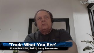 November 11th, Trade What You See with Larry Pesavento  on TFNN - 2022