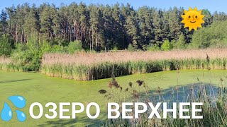 #Озеро Верхнее и весеннее солнце ☀️ - красивая #природа между сёлами Крюковщина и Гатное, #Киевщина