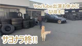 YouTube出演当面お休みです。いよいよお手伝い柊ちゃんとお別れの時。ゴールデンレトリバーティト。