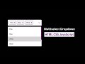 Multiselect Dropdown Using JavaScript | Dropdown Menu