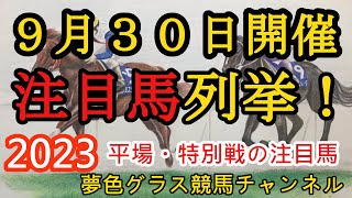 【注目馬列挙・平場予想】2023年9月30日JRA平場特別戦！秋風ステークスを含め、2歳戦多めの注目馬計8頭！