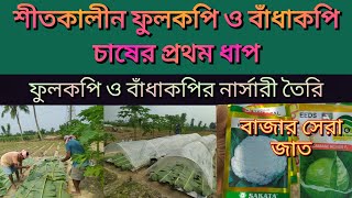 বাজার সেরা ফুলকপির জাত।।ফুলকপি ও বাঁধাকপির দানা পাতার পদ্ধতি। শীতকালে কপি চাষের প্রথম পর্যায়।।