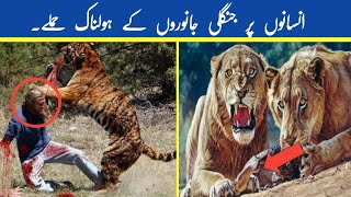 Jangli Janwaron Ke Holnak Hamle. Wild Animal Attack On People in Urdu-Hindi.