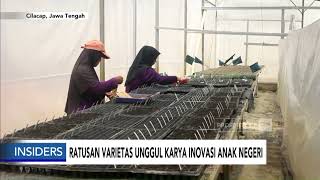 Ratusan Varietas Unggul Karya Inovasi Anak Negeri - Insiders