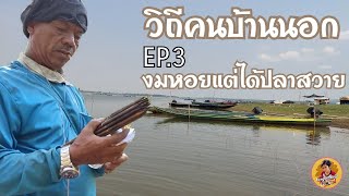 #วิถีคนบ้านนอก EP.3 หางมหอยเขื่อนลำปาวแต่ได้ปลาสวายมาด้วย #น้องทีมบอล #สะพานเทพสุดา #ปลาสวาย