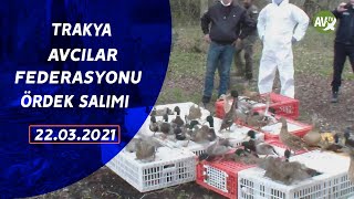 SARANTA AV GÜNLÜKLERİ  TRAKAF ÖRDEK SALIMI