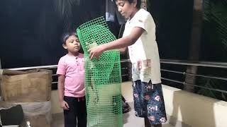 Amazing Fish Trap Making || meen kood || easy to make fish trap ||