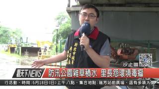 1060615觀天下新聞HD03 汐止區防汛公園雜草積水 里長怨環境毒瘤