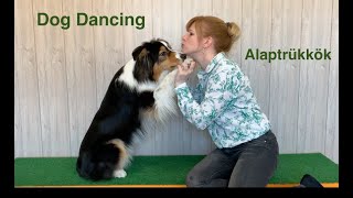 ALAP DD TRÜKKÖK - Hogyan kezdjük el a Dog Dancinget 3.