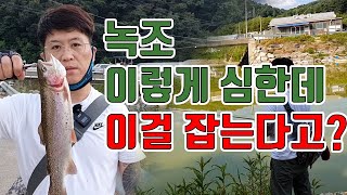 경기 북부 양주 원당저수지편_녹조가 이렇게 심한데 이걸 잡는다고? 더군다나 사이즈까지 상당히 좋네요. 일구유튜브_일구TV