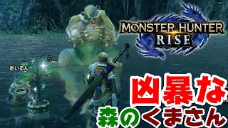 アオアシラにハチミツ奪われた！凶暴な森のくまさん登場 モンスターハンターライズ【MONSTER HUNTER RISE】MHRise