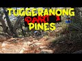 Tuggeranong Pines MTB Trails Downhill Rocky Section | Part 1 of Canberra Fun! #tuggeranongpines