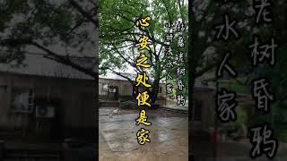 枯藤老树昏鸦，小桥流水人家，心安之处便是家