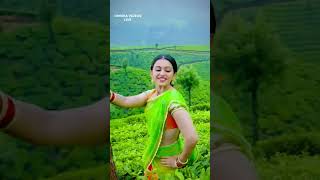 Bhramaramba Ki Nachesanu Video Song || Raarandoi Veduka Chuddam || Naga Chaitanya, Rakul Preet
