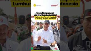 Cetak Sawah Baru Hingga 500 Ribu Hektare, Kalimantan Tengah Siap Jadi Lumbung Pangan Indonesia