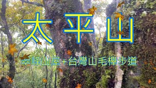 大雨一直下的太平山台灣山毛櫸國家步道2022/10/16