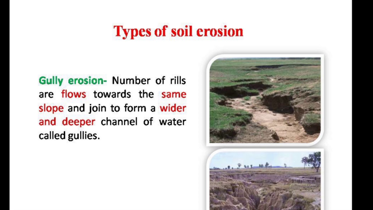 Types Of Soil Erosion - YouTube