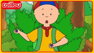 Mirtilos | Clássicos Caillou