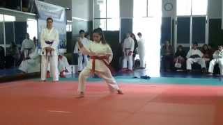 Kata-Bassai Dai - 拔塞大 -