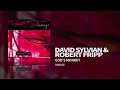 Sylvian / Fripp - God's Monkey (Damage)