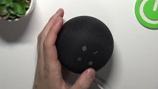 AMAZON Alexa Echo Dot | Как принудительно перезагрузить голосовой помощник AMAZON Alexa Echo Dot