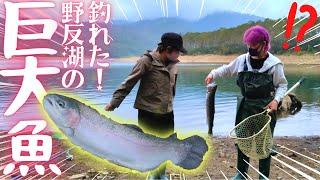 【グルキャン】神回！ついに野反湖の巨大魚が釣れた！！【キャンプ】【キャンプ女子】