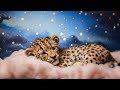 Sweet Lullabies for Kids with Adorable Sleeping Baby Cheetah 🌙