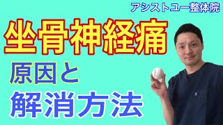 坐骨神経痛の原因と解消方法【神戸市　腰痛】【慢性腰痛専門整体院　アシストユー整体院】