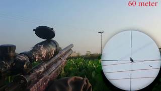 Short Time Hunting Starling With Nova Vista Hp P900w 100 Meters..!!