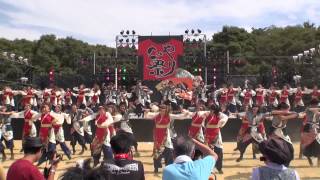 朱蘭　こいや祭り2013　メイン会場