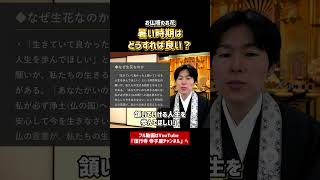 【仏事作法解説】お仏壇のお花。暑い時期はどうすれば良い？⑥　#お寺　#仏壇　#お花　#浄土真宗本願寺派　#マナー