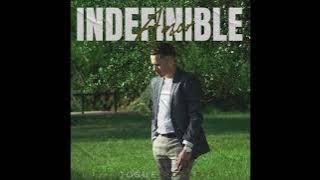 Josue Rosario | Vuelve Ft Yelitza Farmerio | Official Audio (Indefinible Amor Album)