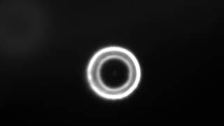 C8 Hubble artificial star collimation