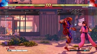 SFVAE S3 - Dhalsim - VT II \u0026 EX Flame x2 Corner Max Chip Damage Option