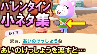 (あつ森)バレンタイン小ネタ集!『あいのけっしょうを渡すと…』『まだあった超レア台詞』『ポケ森バレンタインが熱い』(ポケ森)(あつまれどうぶつの森)