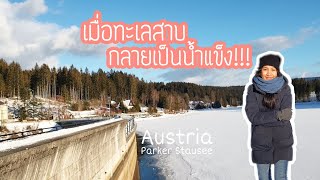 ทะเลสาบกลายเป็นน้ำแข็งให้คนลงไปเดินเล่นได้ | Packer Stausee | Som O in Austria