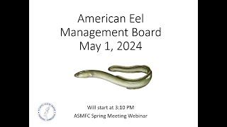 American Eel Board Proceeding May 2024