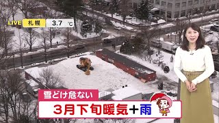 【季節外れの高温と雨】札幌はプラス6℃で3月下旬並み…全道的に今季一番の暖気で午後は広範囲で雨も【北海道の天気予報 12日(水)】