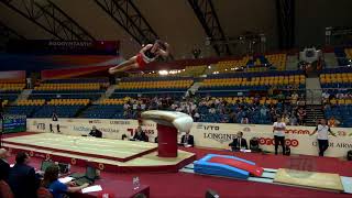 MICHNAK Slavomir (SVK) - 2018 Artistic Worlds, Doha (QAT) - Qualifications Vault 1