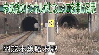 【駅に行って来た】羽越本線勝木駅は未成線のトンネルが見られる駅