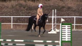 障害馬術大会　目玉おやじ2018水口Xmasホースショー