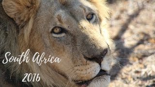 South Africa 2016 | Part 1