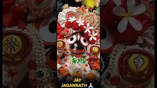 Jagannath odia short status #odia#short#status#ଆଗୋରାଧିକା ଆଗୋ ରାଧିକା #short#status#