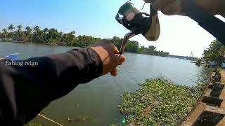 നാടൻ വാള പിടിക്കാൻ പറ്റിയ lure👌👌👌👌 /wallagoattu fishing /spoonlure fishing /amazing fishing /fishing