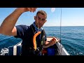 The Fish Locker: Lure Fishing at Sea