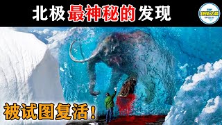 15个北极最神秘的发现！1200位小镇居民一夜消失，科学家试图复活完好无损的远古生物！丨地球之最#冷知识 #排名 #世界之最#动物#动物世界#远古动物#猛犸象#外星生物#世界之最top#top10